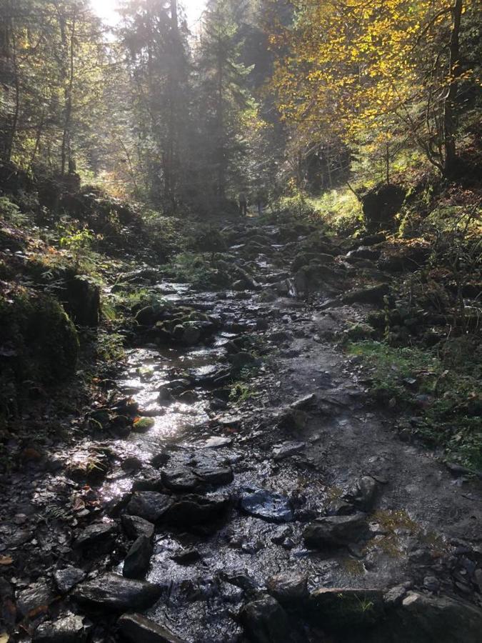 Отель Gaestezimmer Klopfer Sankt Johann im Saggautal Экстерьер фото