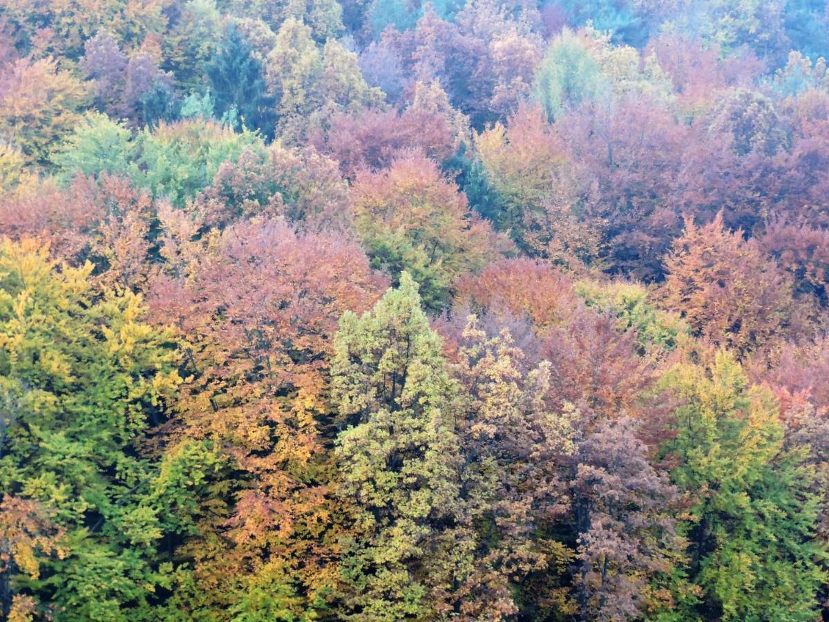 Отель Gaestezimmer Klopfer Sankt Johann im Saggautal Экстерьер фото